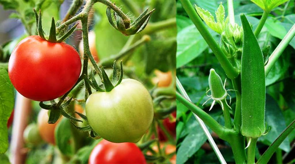 Agricultural and horticultural work