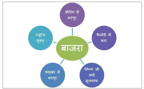 bajra