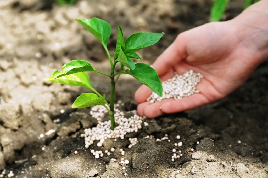 chemical fertilizers in hindi