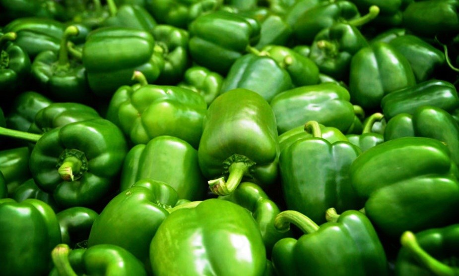 Advanced Cultivation of Capsicum