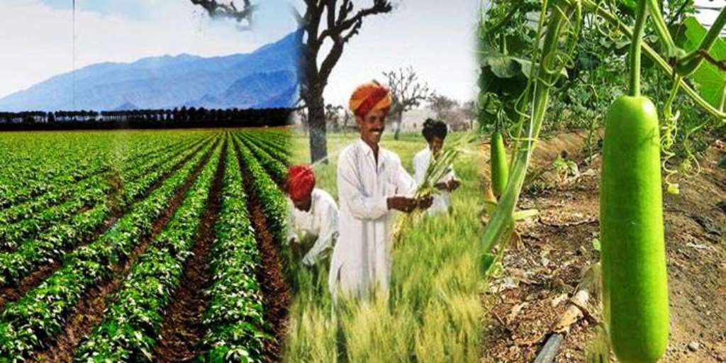 Prime Minister Crop Insurance Scheme