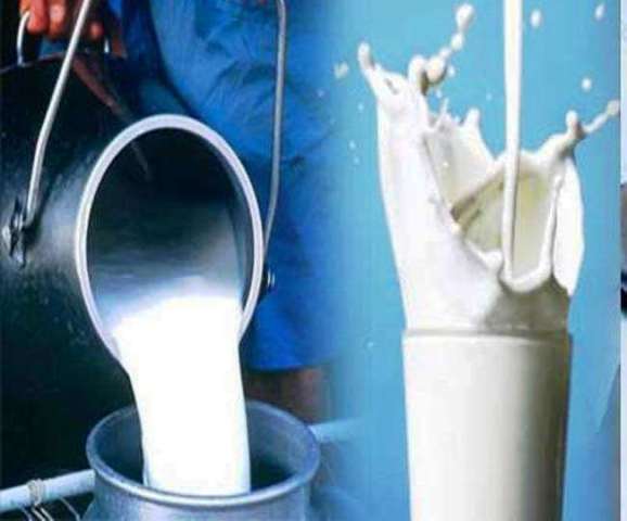 milk