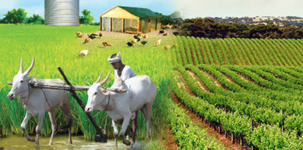 kisan Call Centr