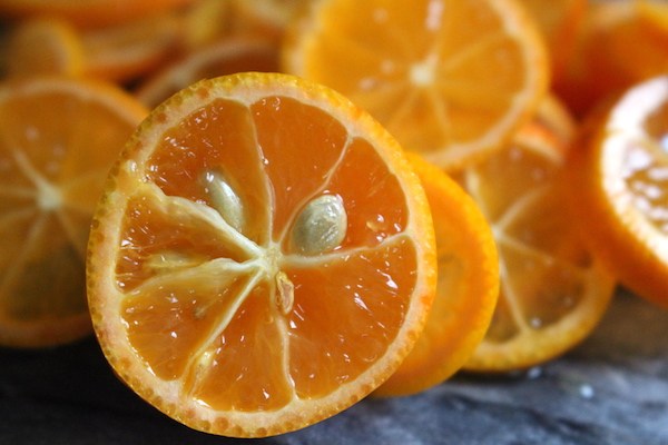 orangeseed