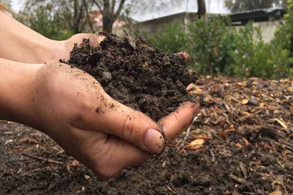 Soil