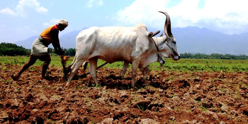 Farming