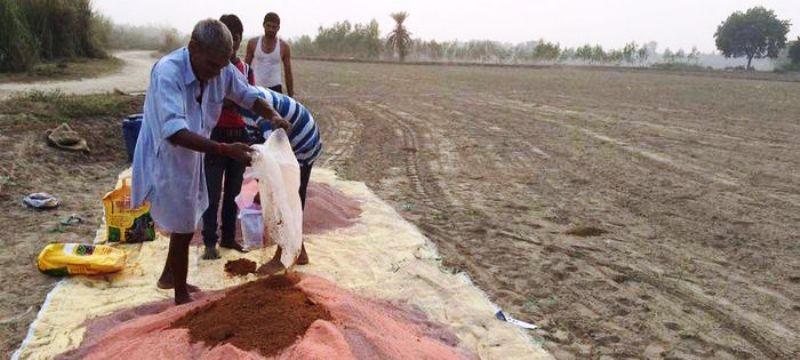 Seeds, Fertilizers and Pesticides