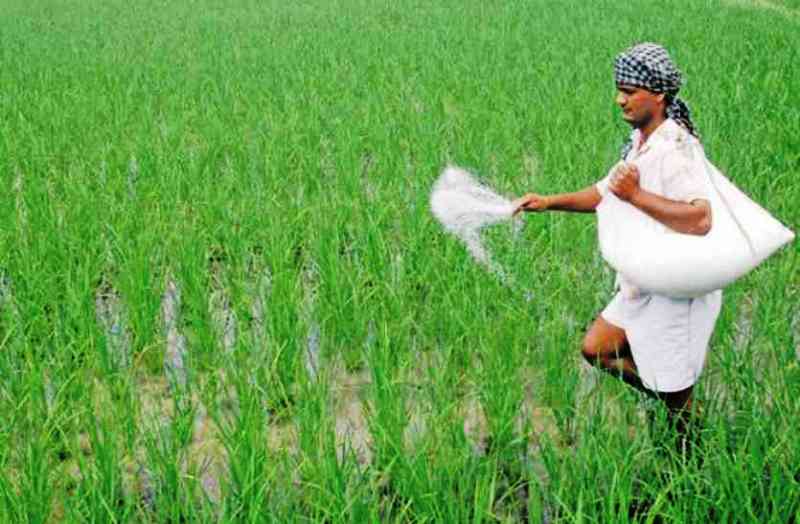 seeds-fertilizers-and-pesticides