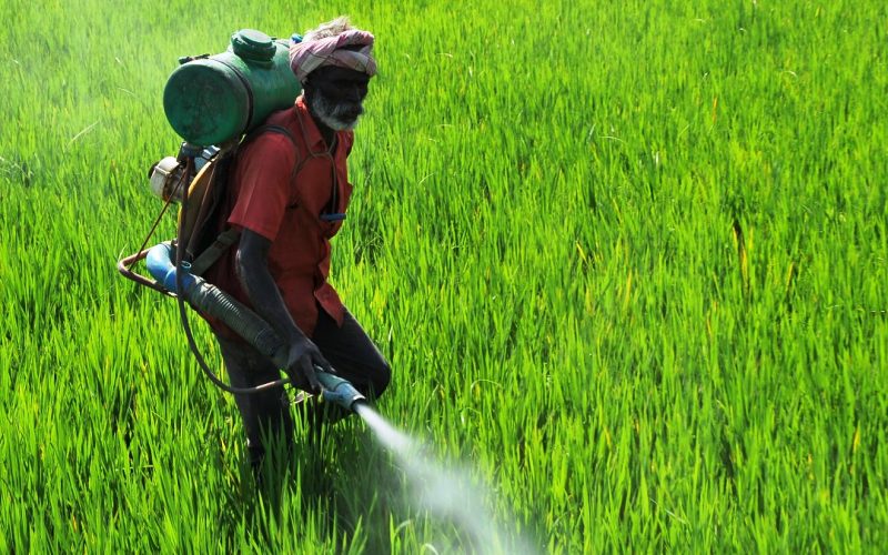 Insecticide for crop