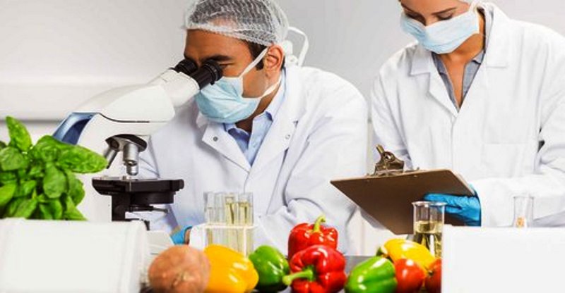 food testing