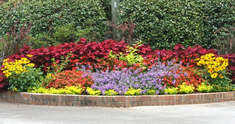 Summer floriculture
