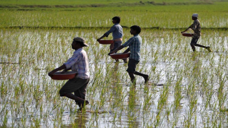 farmers