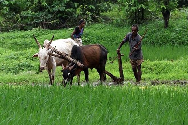 farmers