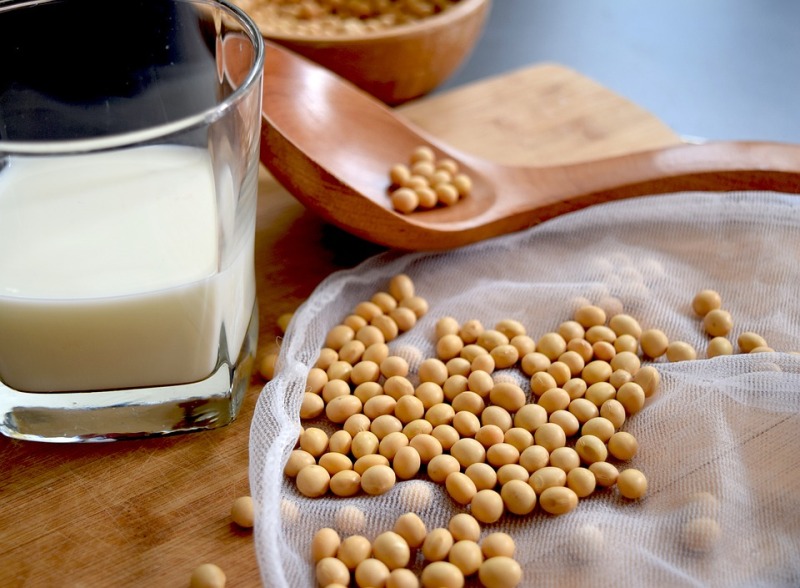 Soya Milk Making Unit