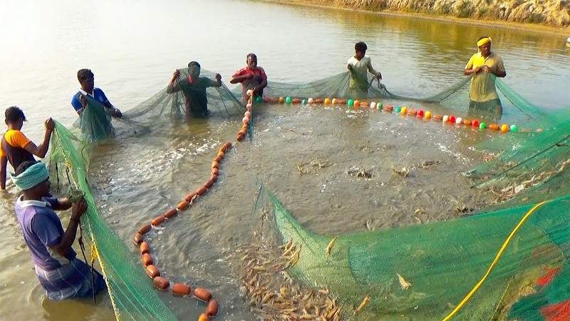 Animal husbandry subsidy