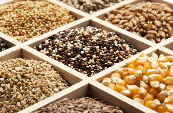 seeds