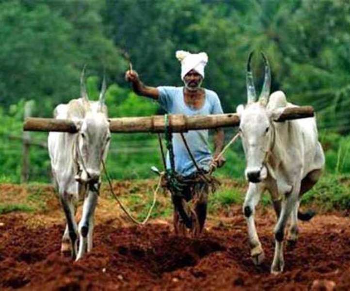 Agriculture