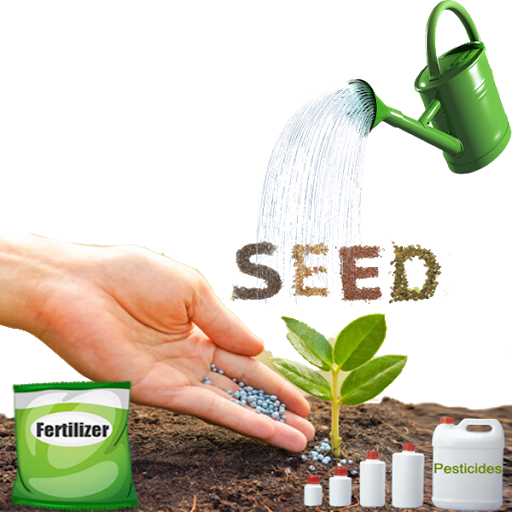 seeds
