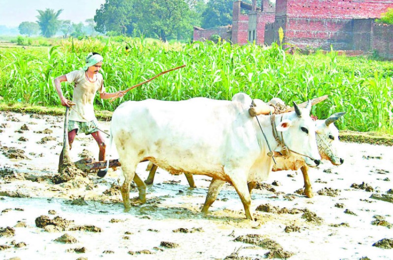 Kisan Credit Card