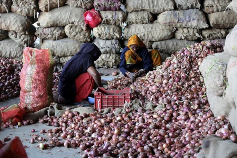Onion market