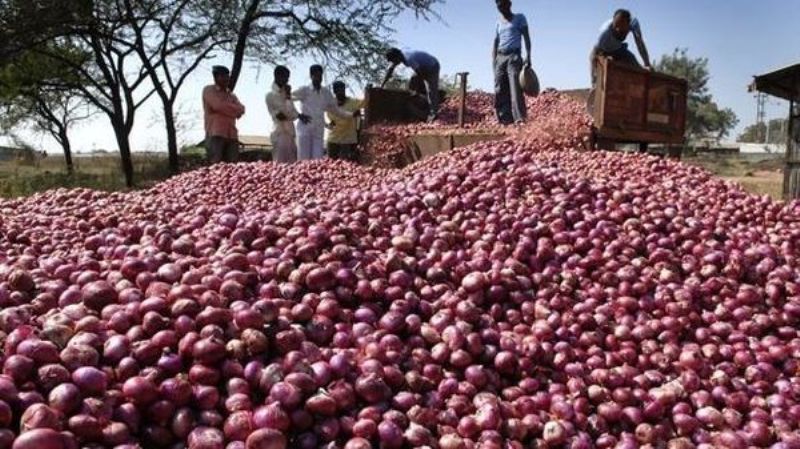 Onion Prices Fall Down in Market