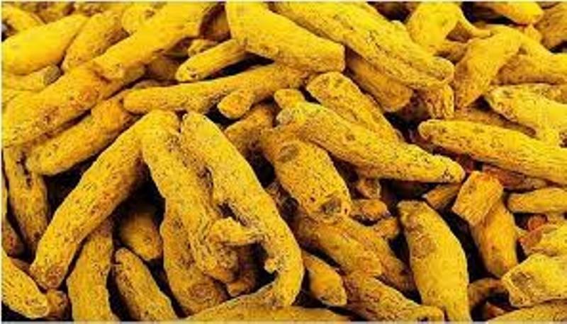 Haldi ki Kheti