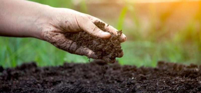 Soil Health Card Scheme