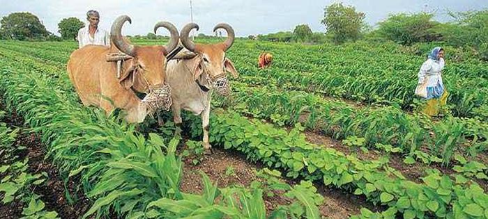 farming