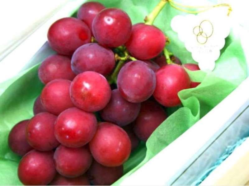 red grapes