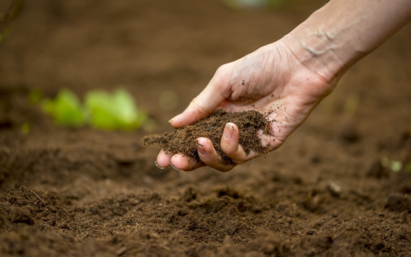 Fertility of soil