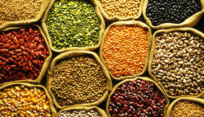 Pulses crop