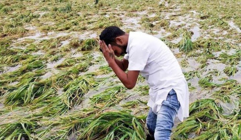 Compensation for kharif crop