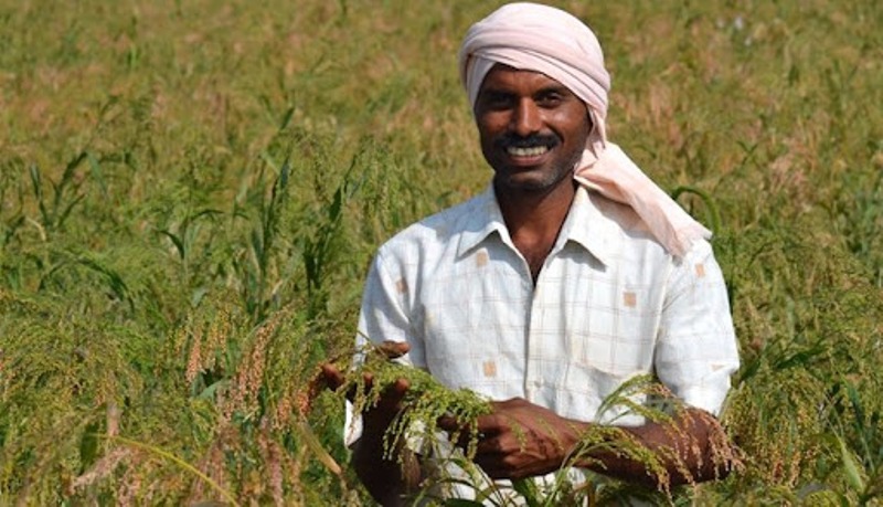 agriculture news