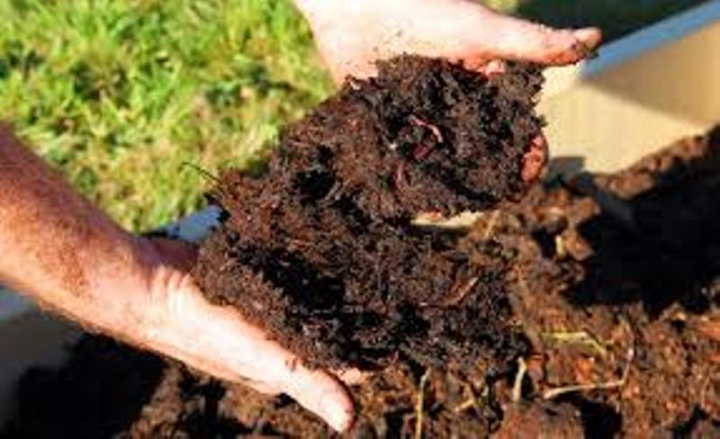 Soil health card
