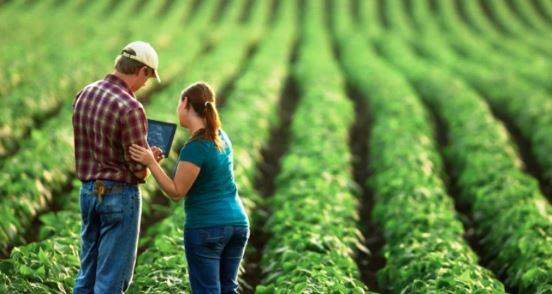 Agri jobs