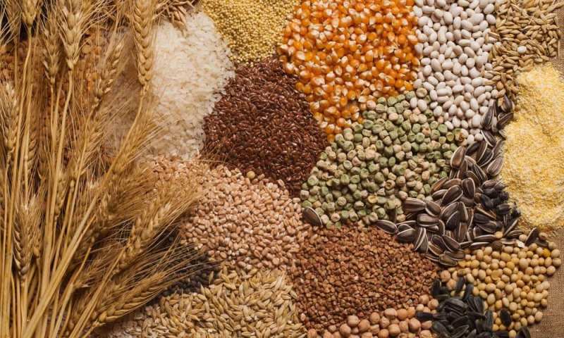 food grains
