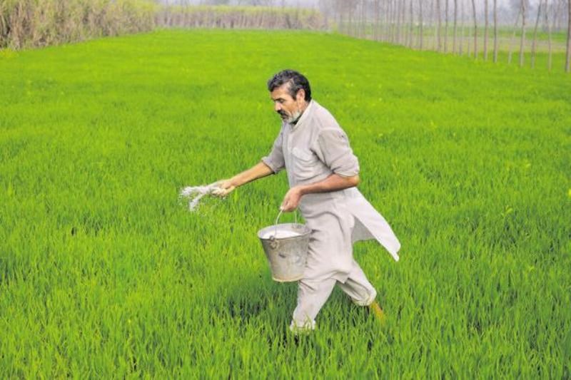 farmers
