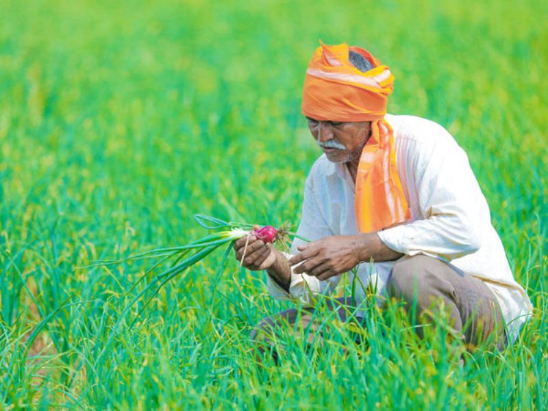 gift to farmers