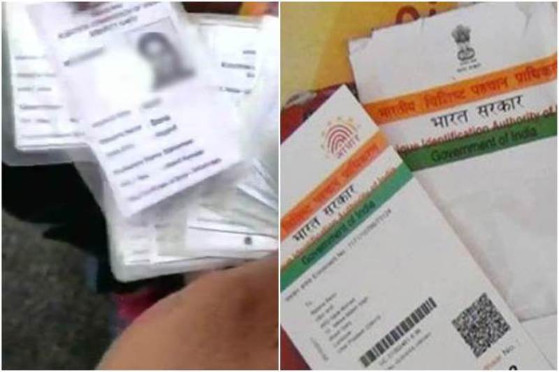 Voter ID Card