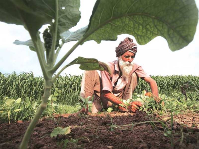 farming