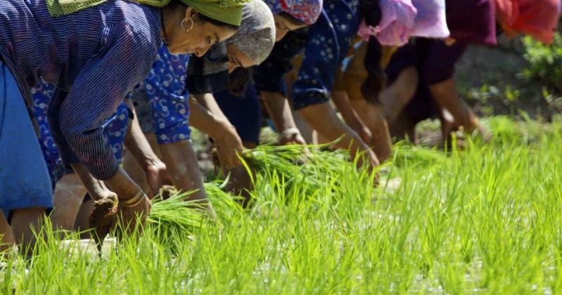 Kharif Season