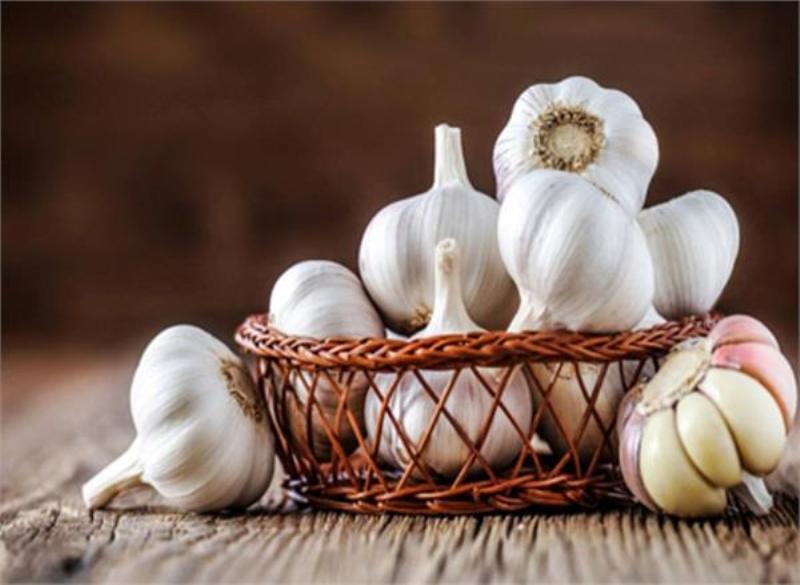 Benefits of garlic
