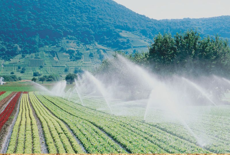 irrigation system