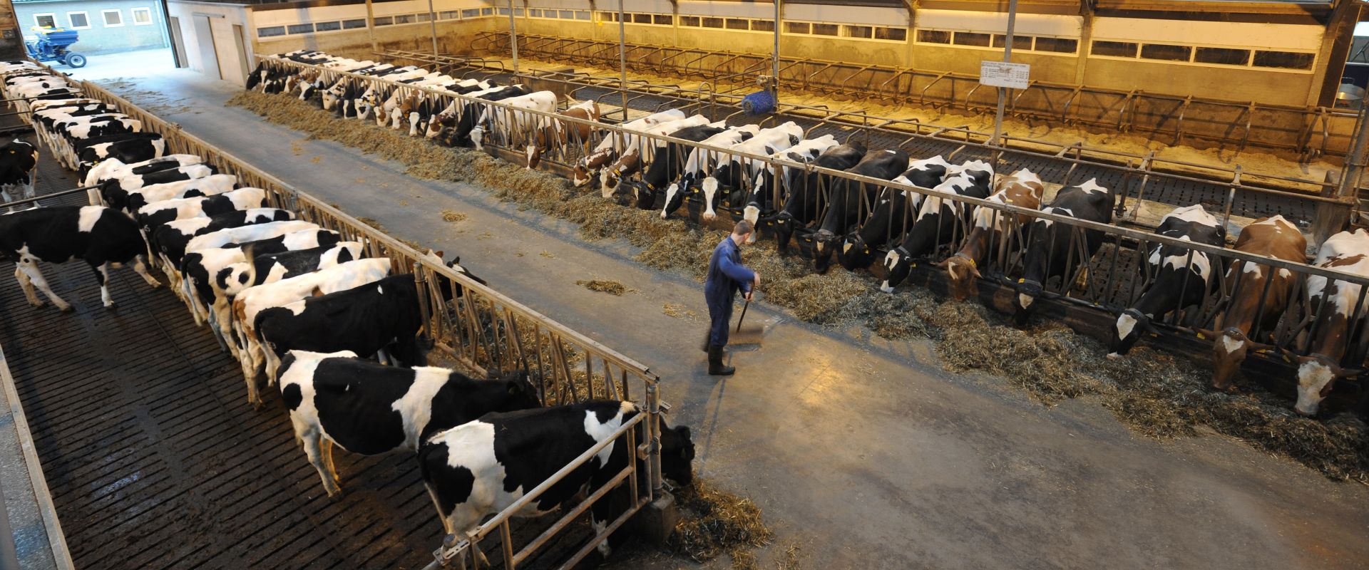 Farming