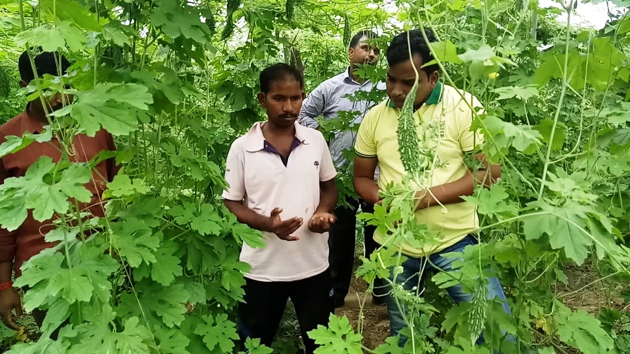 KArela