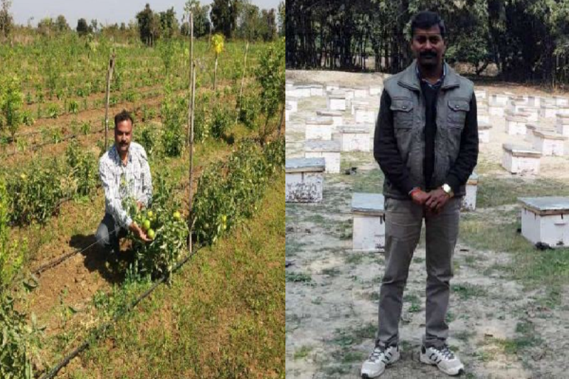MP Farmers