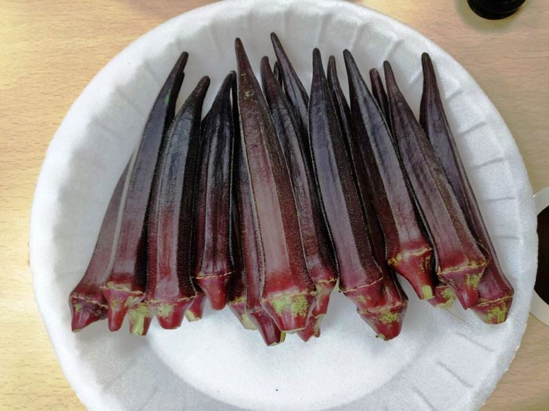 red okra