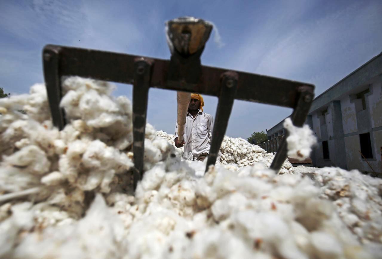 export cotton fabric