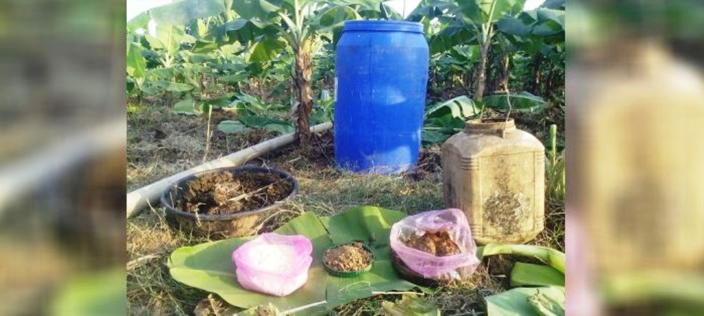 Vermi Compost Method