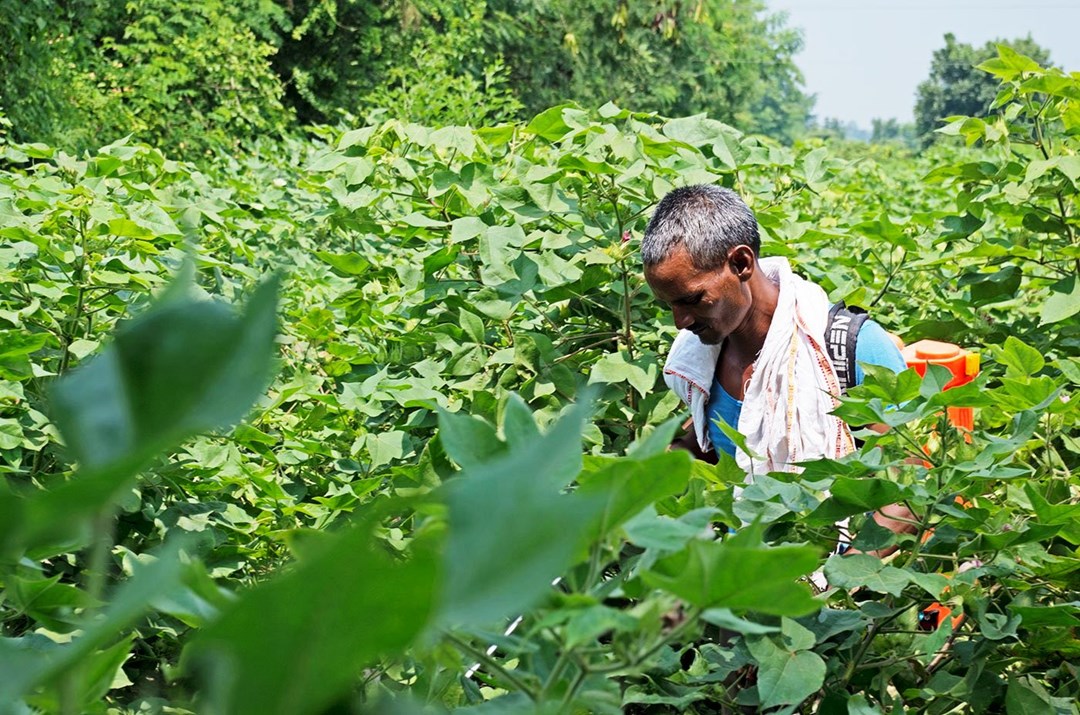 Agriculture Minister Narendra Singh Tomar